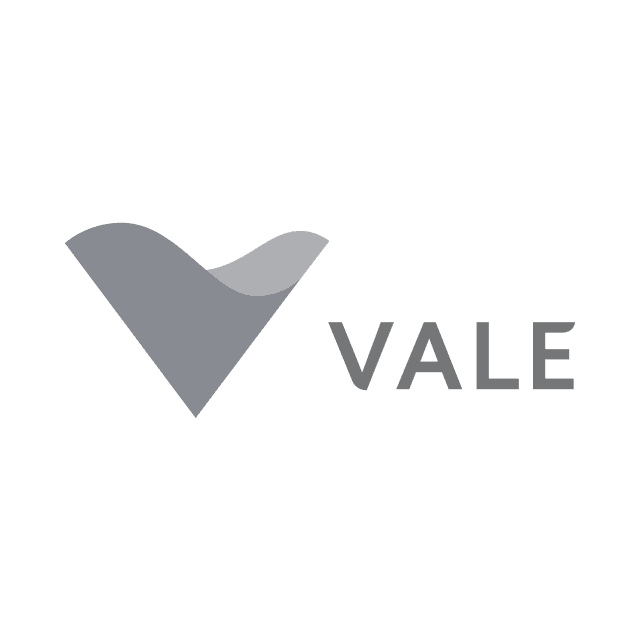 partner_vale.png
